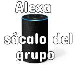 adultos 