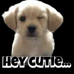 Love is the sunshine on a rainy day! ☀️☔