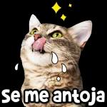 HERISTE MIS SENTIMIENTOS