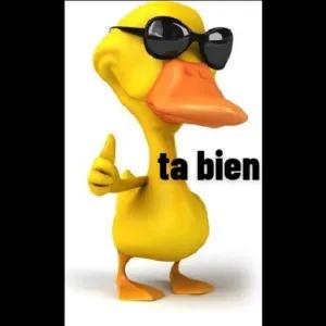 eWvp10