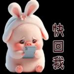 Piggy Rabbit so Cute