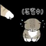 愛撒嬌的奶油小生 (虎斑貓)