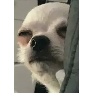 2qbrnH