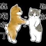 柴柴與貓咪 pack2