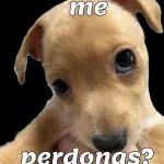 NO ME PIENSAS HABLAR