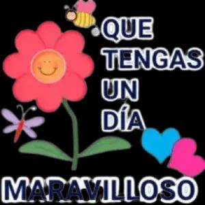 wchmg89