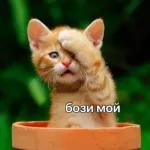 АЛЁНУШКА 3