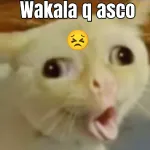 Levante la mano quien no tenga un peso!!!!