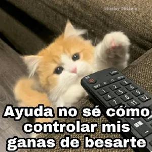 4xyf9r