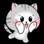 Cats! For reply