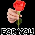 Have a good day!