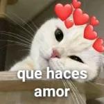 dulces sueños descansa