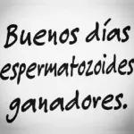 💬FRASES CON FLOW 😎