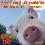 buen día