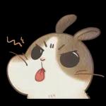 邦妮蓓蓓的日常生活