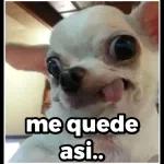 Que estás haciendo?