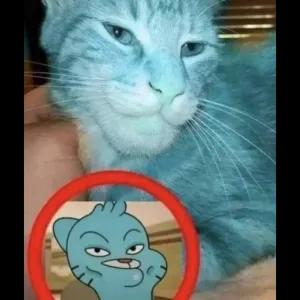 eXWdXq