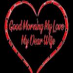 My darling, how are you😘❤️🌞