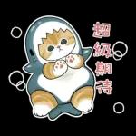 鯊魚貓咪 2
