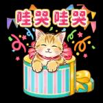 溫柔貓貓 聖誕魔幻樂園