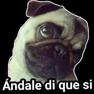 Ándale di que si - getsticker.com