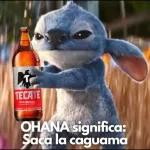 paquete 5