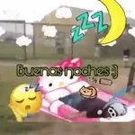 Alegria 6