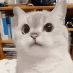 OK