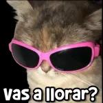 dios mio como es posible este suceso