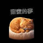 可愛的橘色肥貓!