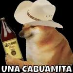 Q grupo tan callado, q antisociales q mudos!