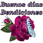 Buenas Noches La Paz de Dios reine en Tu corazón