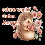 Guten Morgen