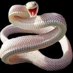 صباح اليقن بأن رحمة
الله أوسع من كل شئ
صباح محمد الله فيه
ونشكره على كل شئ
:
الفلام
الطب
صباح الخيين