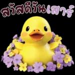 บรรยากาศที่ไร้ความวุ่นวาย...🌾🐝🐞