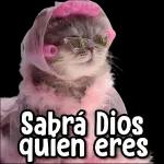 SHA tsss