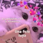 Mis ojitos están enamorados de los tuyos.