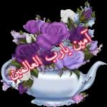 هبه