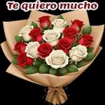 Pegatinas gratis