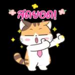 สวัสดีตอนเช้า☀️