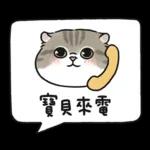 愛撒嬌的奶油小生 (虎斑貓)