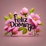 Feliz Domingo