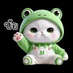 ข้าวต้ม ชุดกบ หน้าบูด