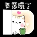 善解人意的小貓貓