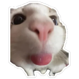 dwXnkf