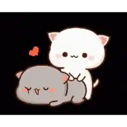 Te Amo