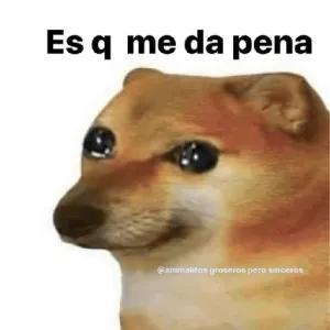 FWCAkl
