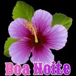 Boa noite