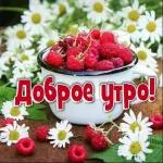 доброе утро 
