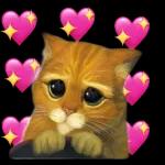 amorcito 